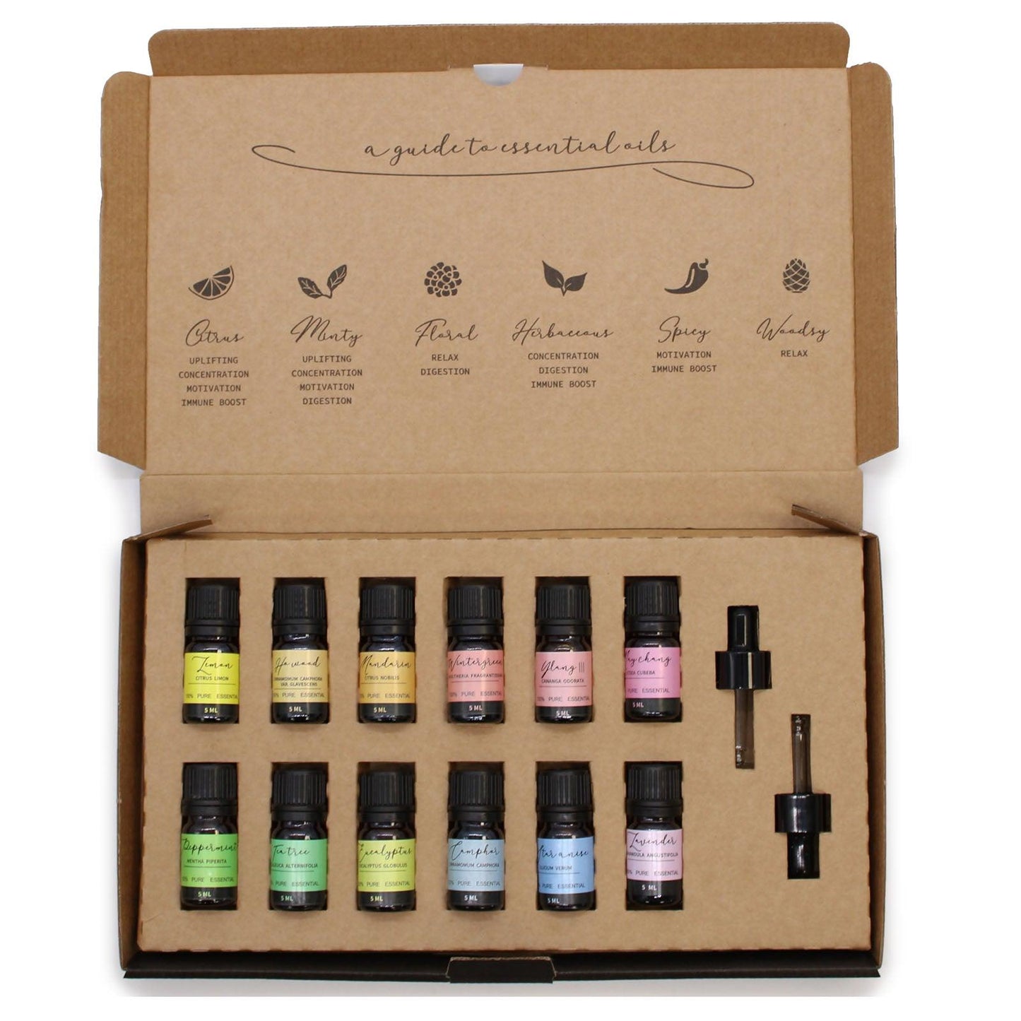 Aromatherapy Essential Oil Set - Starter Pack